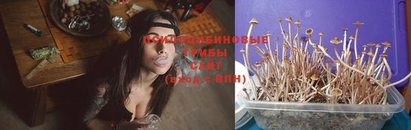 ПСИЛОЦИБИНОВЫЕ ГРИБЫ Балахна