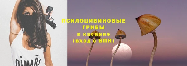 гидропоника Балабаново