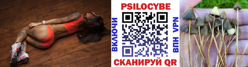 blacksprut как войти  Тырныауз  Галлюциногенные грибы Magic Shrooms 